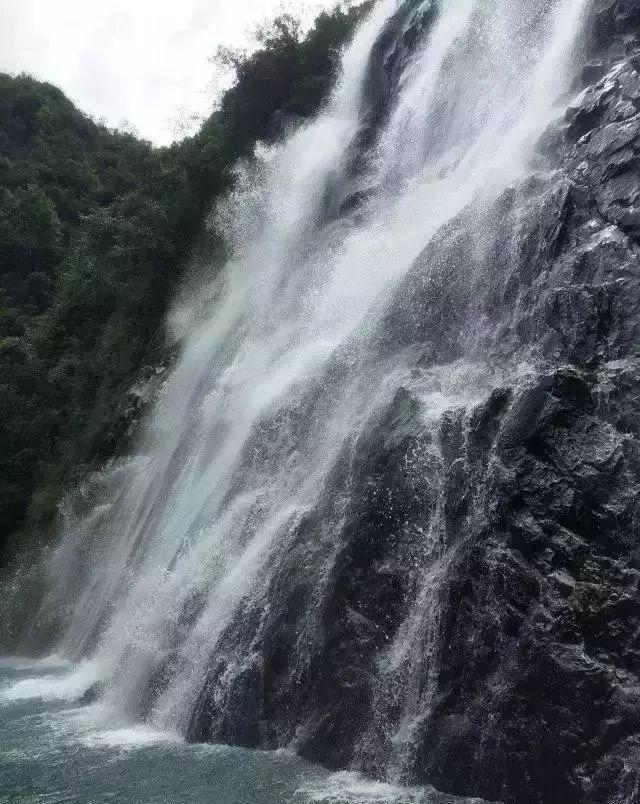 裙上繁花